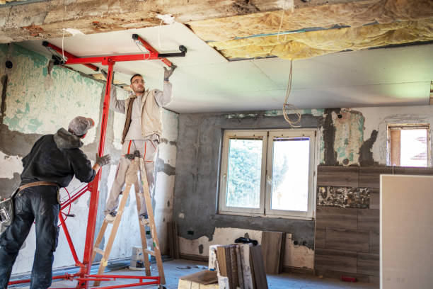 Best Residential Insulation in Plains, TX