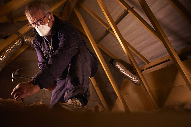 Best Insulation Installation Services in Plains, TX